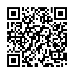 每天睡觉前都会和苏念白通一个电话二维码生成