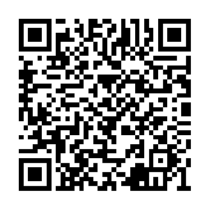 每天还有两个如花似玉的护士小姐照顾我的起居二维码生成