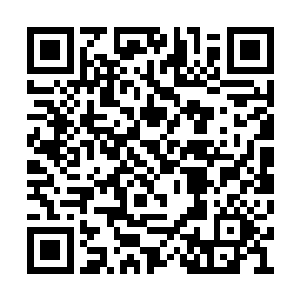 每天都有几万的粉丝留言问这个消息是不是真的二维码生成
