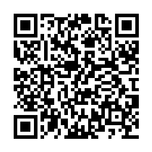 每天都有大量的炼气期和筑基期修士在其中进进出出二维码生成