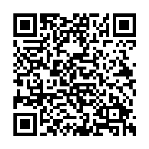 每天都有无数的三流下等门派消弭于伪仙界当中二维码生成