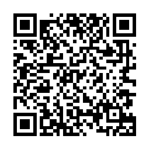 每天都能想法子借着事情跟闻春意说上一句几句甜言蜜语二维码生成