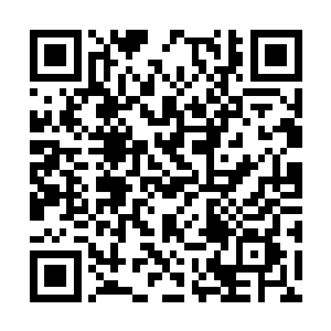 每天都要将浩然正气和自己的体力消耗得一干二净二维码生成