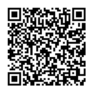 每天都要研究不少关于阵法的书籍并且将里面的一些精髓记录下来并且融会贯通二维码生成