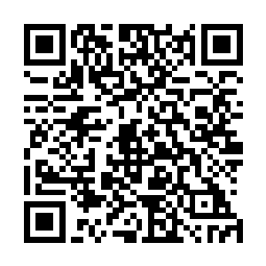 每天龙傲天除了使用一次甘霖普降之外基本上没有什么事情二维码生成