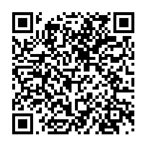 每届政府班子都会聘用一些在一定时期内对国家和人民有特殊贡献的社会人士二维码生成