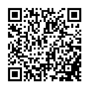 每年播种的种子都是他们前一年精挑细选留下来的二维码生成