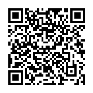 每年给亚丁湾的这条黄金航道带来数以亿计的经济损失二维码生成