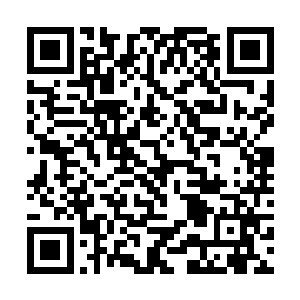 每当一头虚空猎手感知到自己上万年的生命即将终结二维码生成