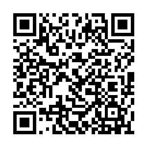 每当他极力思索记忆中前世地球上的一些东西时二维码生成