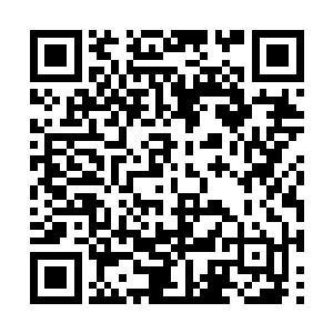 每当她用那恨不得捅上他两刀的眼神看着他的时候二维码生成