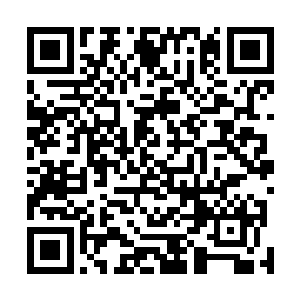 每当屈磊看到他娘把掉在桌子上的饭粒儿捡起来塞嘴里时二维码生成