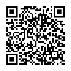 每当想到以后在大学里或许有许多和叶枫见面的机会二维码生成