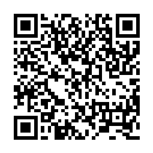 每当拳头与那些刀光相遇便会迸发出一道道刺眼的火光二维码生成