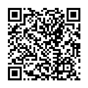 每日也都在参悟修炼夏云杰传给他们的土行术和修炼功法二维码生成