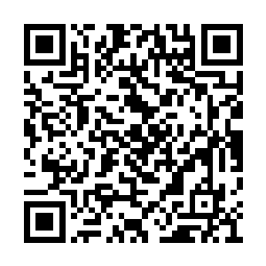 每日只需要听着客栈里南来北往的食客们的谈论二维码生成