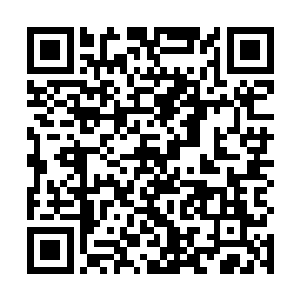 每日在金乌城排队等待着提货的飞艇拉走多少全效药剂二维码生成