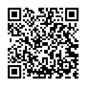 每日都必须要吸血才能保证那简单的思维和身体的正常活动二维码生成