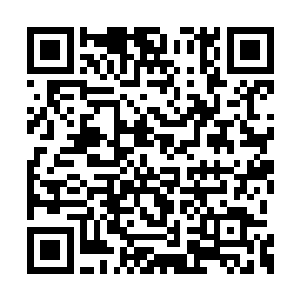 每日都有大量的来自天南海北的各种古玩爱好者二维码生成