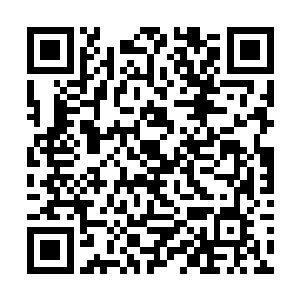 每日都要潜心钻研如何才能给老爷配出更好的药汤来二维码生成