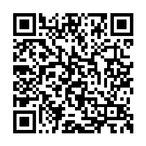 每月那十匹战马的入量还没看见就被补充下去了二维码生成