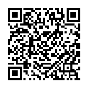 每棵树上面和下面至少有三五个毛茸茸的小东西二维码生成