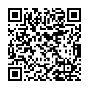 每次他修炼狂风快剑时远处总是有一个灰袍老者看着二维码生成