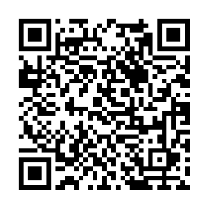 每次去你那里之前我都要给自己做一堆的思想工作二维码生成