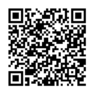 每次去小禹仙人那儿取分例你都不看他的规矩啊二维码生成