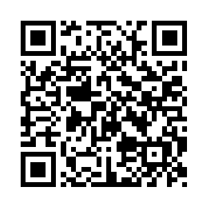 每次国内来的客人都把这个当成一景儿二维码生成