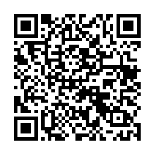 每次天空拍卖会进行时拍卖场外都会聚集无数围观群众二维码生成