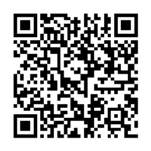 每次她被龙战霸道的压到的时候都看到的・・・・・・二维码生成