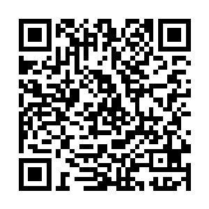 每次打架他们周围都会围着一群植物捡果子和叶子吃二维码生成