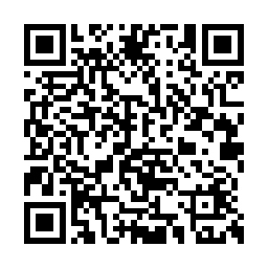 每次来拜访时都必然要尝试破解唐劫的守山阵法二维码生成