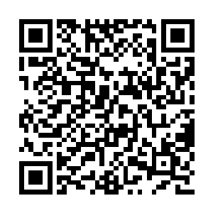 每次看到阮软欲盖弥彰偏偏又表现很明显的遮掩二维码生成