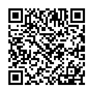 每次都是攒了一堆放在厨房的洗碗池中等着她洗二维码生成