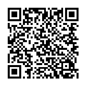 每次都有人带回来和凯撒刚来时差不多的狼崽子二维码生成