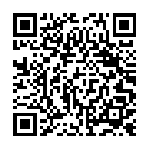 每次都有意无意只差一线让那老人能够恰好惊险躲过剑尖二维码生成
