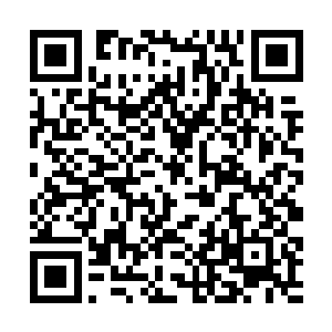 每次院试顺序都是以提学官大人公布的考期悬牌为准二维码生成