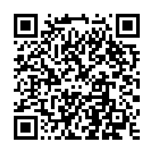 每每想到自己的老婆女儿就在这个城市不知哪个角落风餐露宿二维码生成