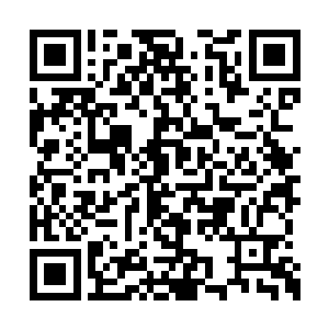 每每能在紧要关头避开那一道道足以致死的攻击二维码生成