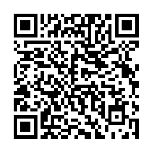 每隔几米远就有一个粗大的石柱支撑着上面的建筑物二维码生成