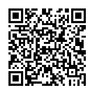 毒又飙车又打架的那个雨果再次回到了人们的视线之内二维码生成