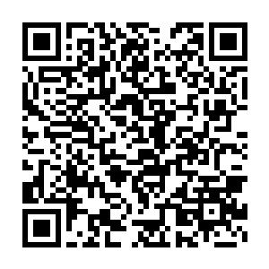 毒狂满脸惊骇的望着眼前的不远处的那朵散发着幽幽的光芒的黑莲二维码生成