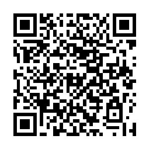 毒狼朱量才在太夏的廷尉府的通缉榜上逍遥了这么多年二维码生成