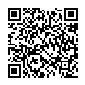 毒蝎帮的战车外面镶嵌着无数巨型毒蝎的蝎壳充当二维码生成