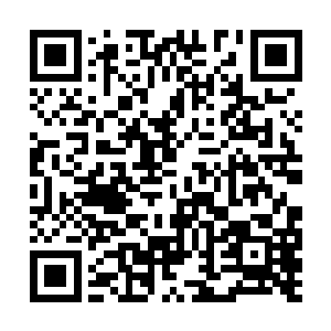 比上一次和魏央交战的石板演武场要大出一倍不止二维码生成