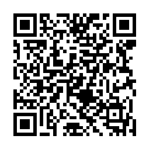 比之刚才那些放弃了自己职业道德的保镖更是强了无数倍二维码生成