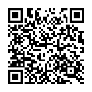比之前峡谷中那种满地石笋的路要正常的太多了~二维码生成