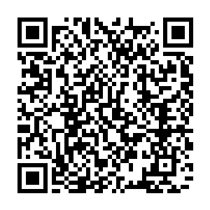 比之前的时候变异嗜血藤依靠木系精气恢复的速度不知道要恐怖了多少倍二维码生成